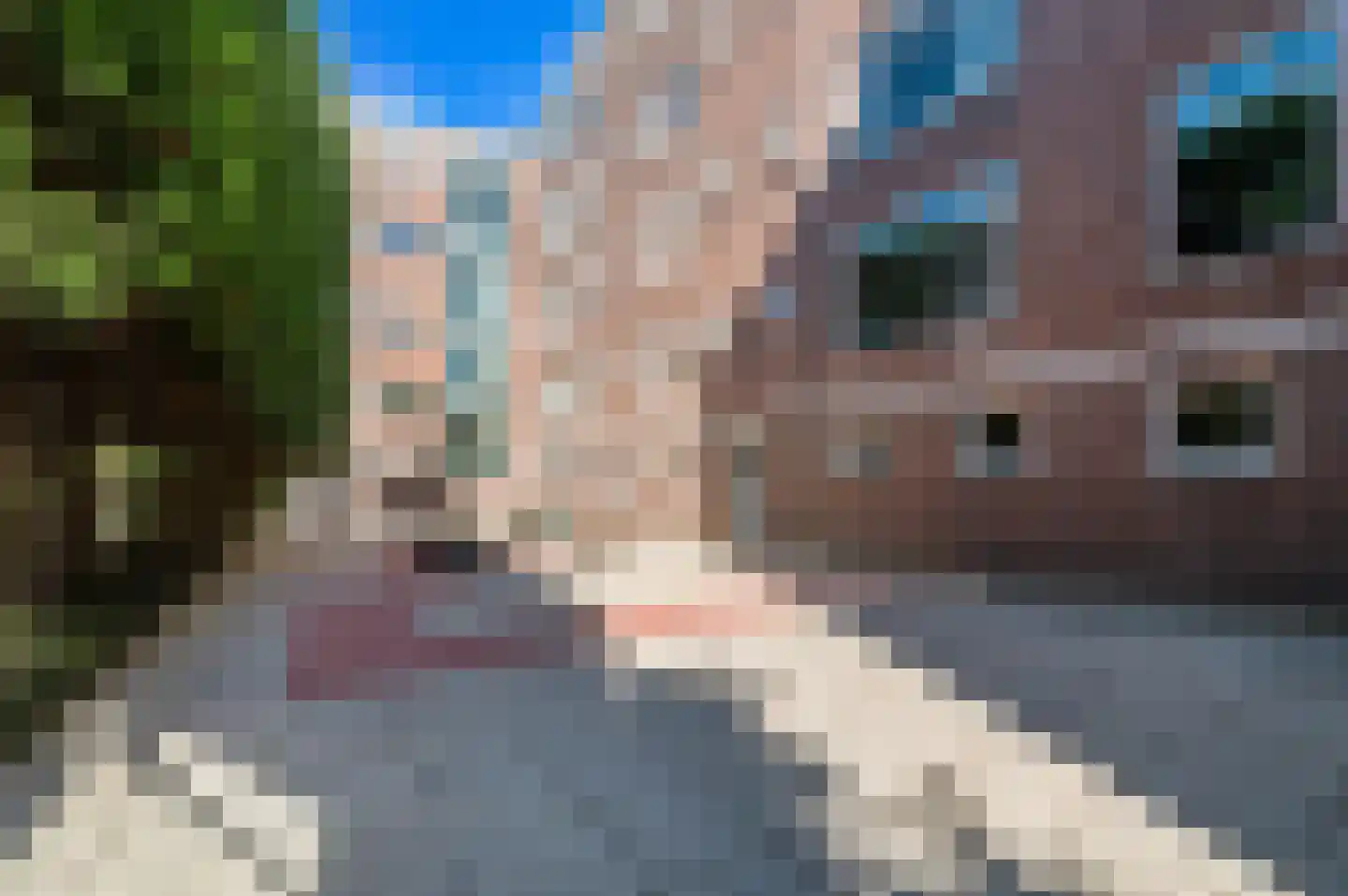 Gordelweg 32 D Rotterdam thumbnail 26