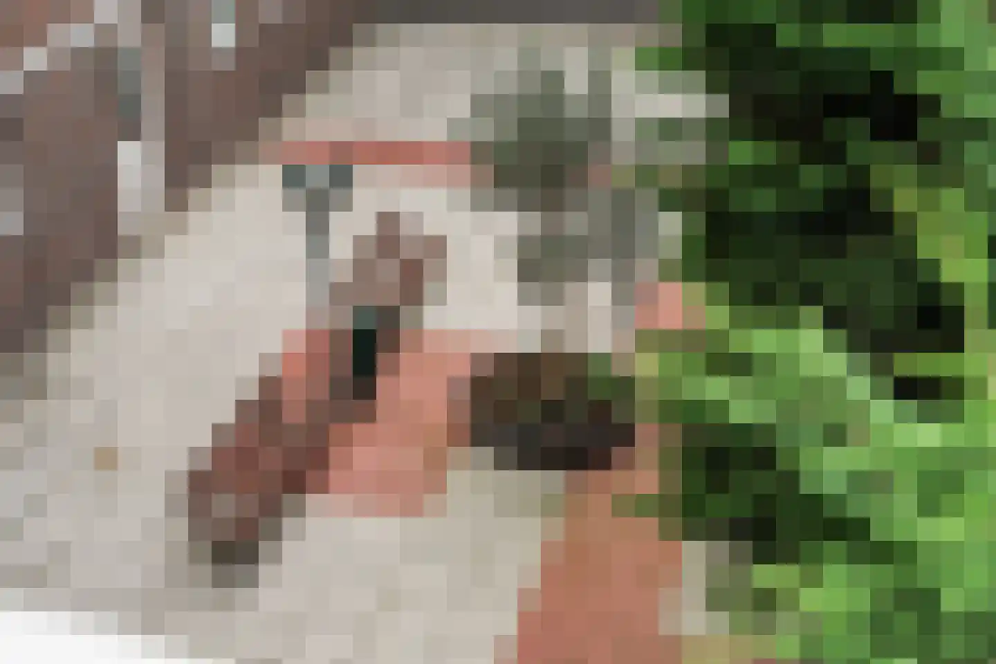 Gordelweg 35 B Rotterdam thumbnail 31