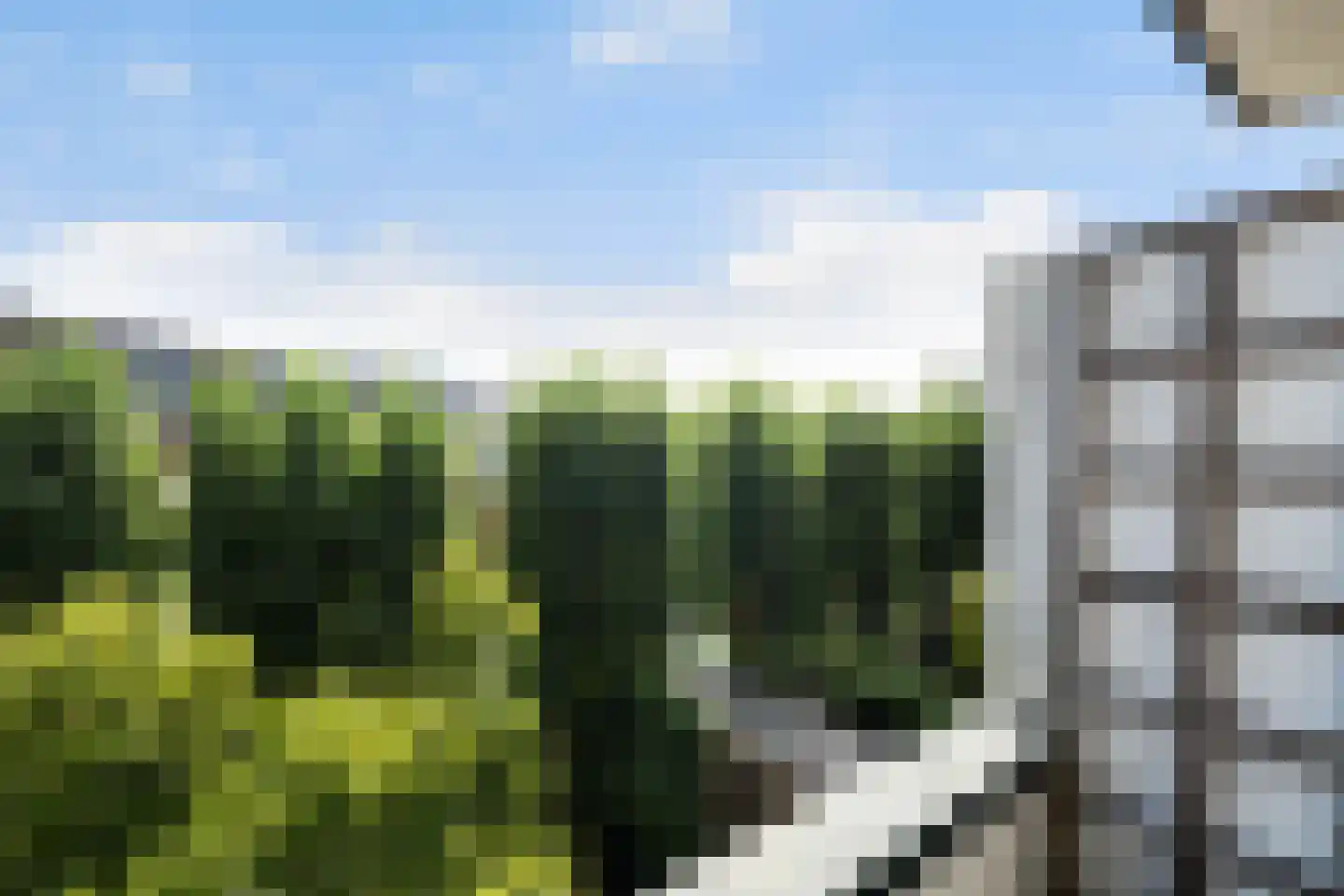 Gordelweg 48 D Rotterdam thumbnail 21