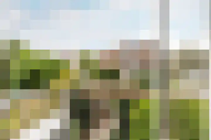 Gordelweg 63 A Rotterdam thumbnail 19