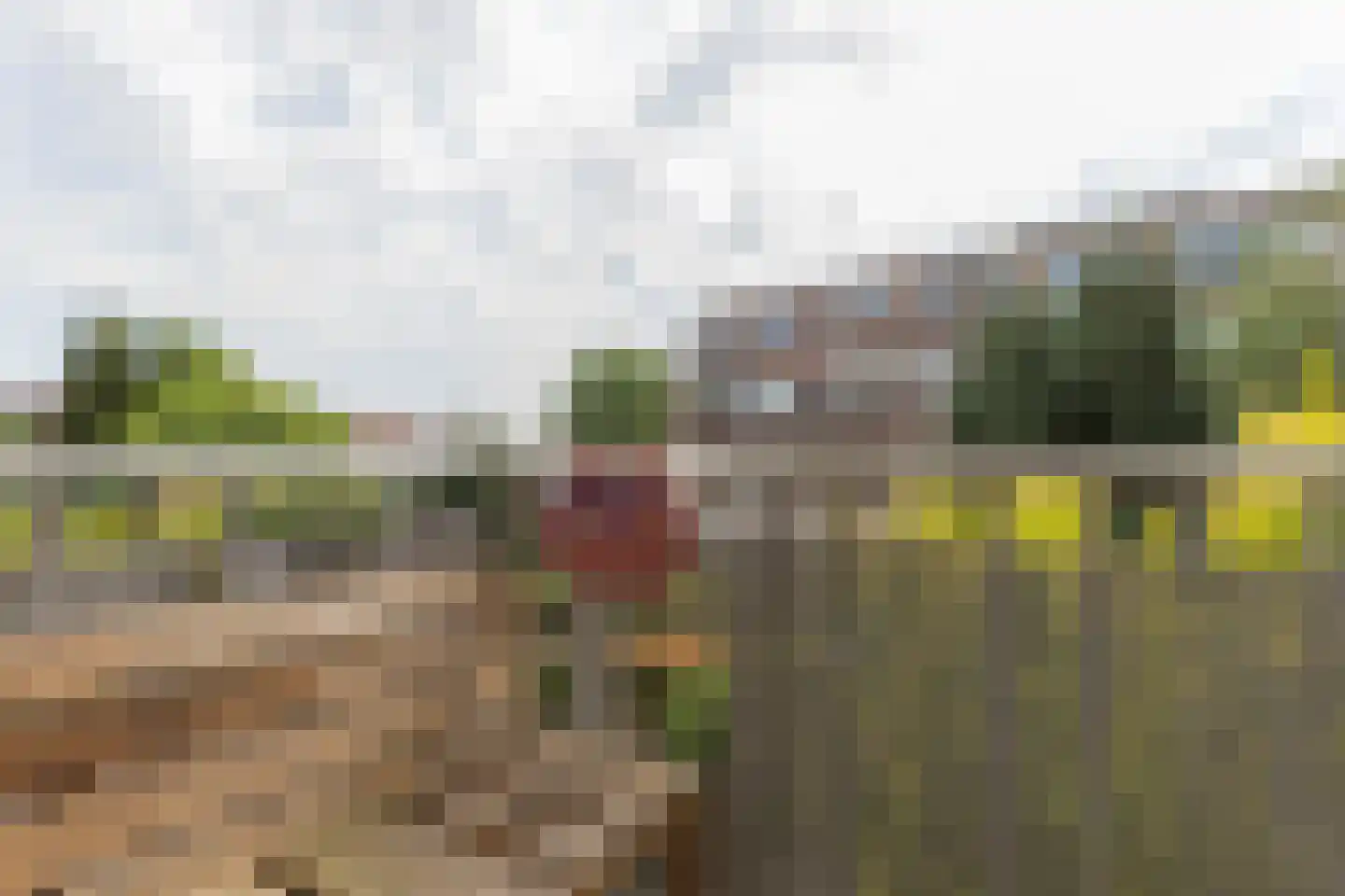 Gordelweg 65 A Rotterdam thumbnail 8