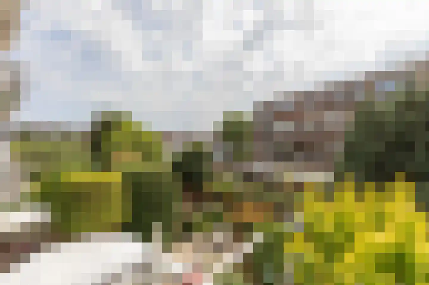 Gordelweg 65 A Rotterdam thumbnail 9