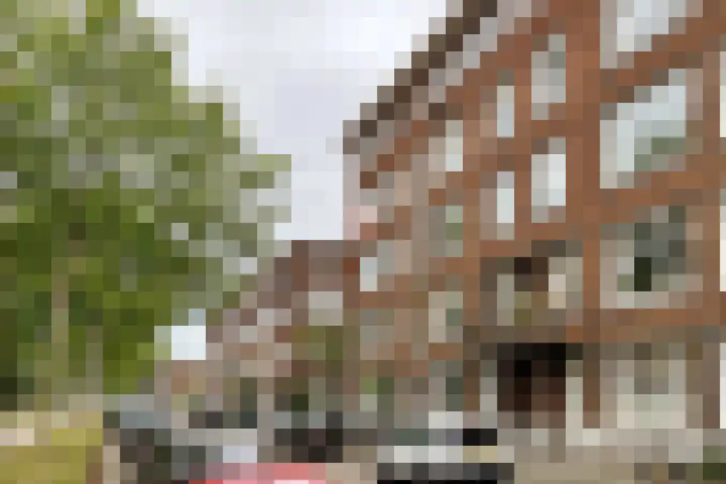 Gordelweg 89 C 03 Rotterdam thumbnail 33