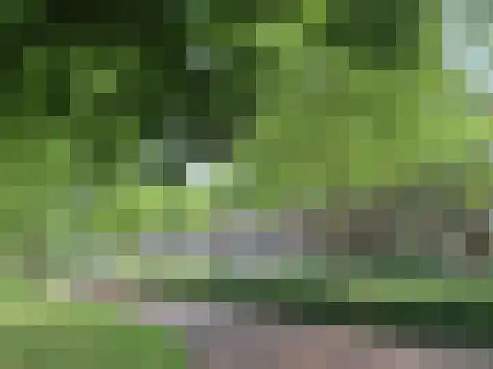 Gordelweg 99 C in Rotterdam