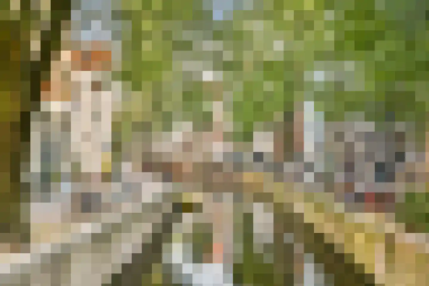 Gordijnensteeg 27 Amsterdam thumbnail 22
