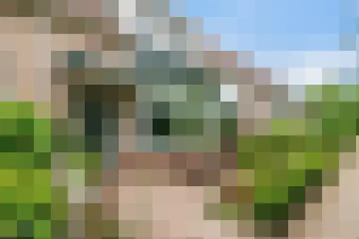 Gording 118 Hoorn thumbnail 30