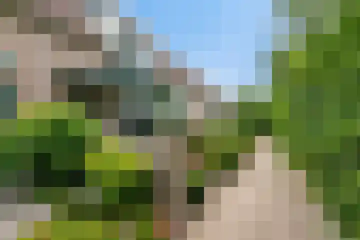 Gording 118 Hoorn thumbnail 31