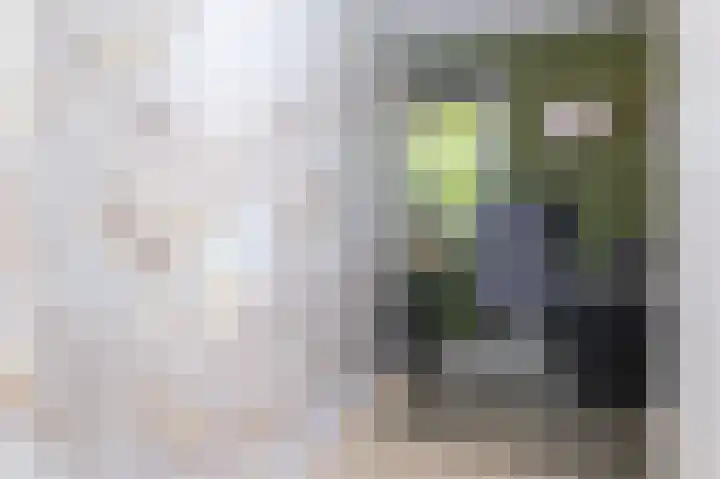 Gording 15 Hoorn thumbnail 27