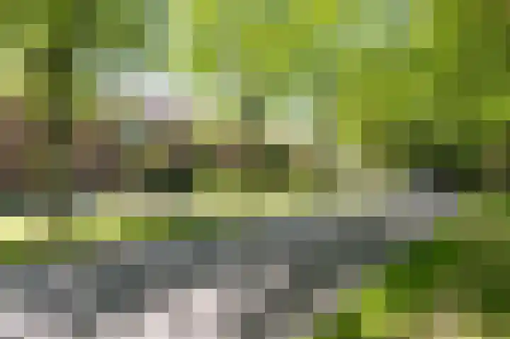 Gording 15 Hoorn thumbnail 6