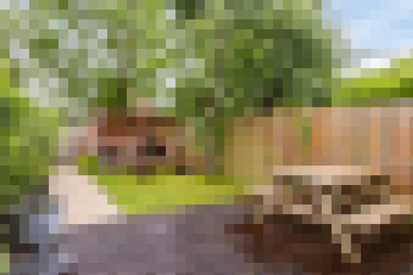 Gording 24 Hoorn thumbnail 21