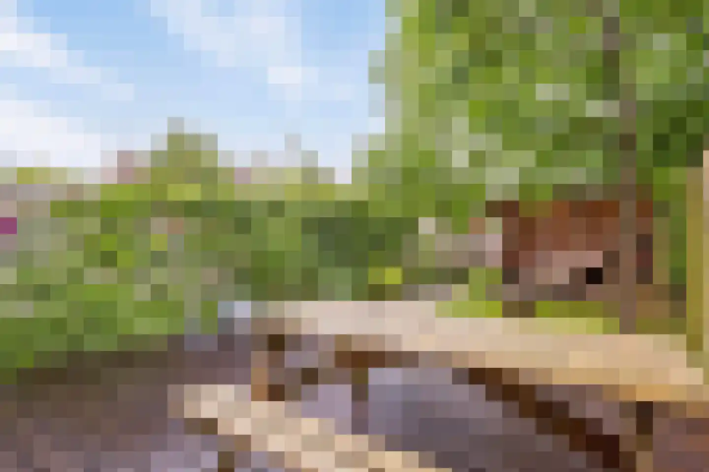 Gording 24 Hoorn thumbnail 22