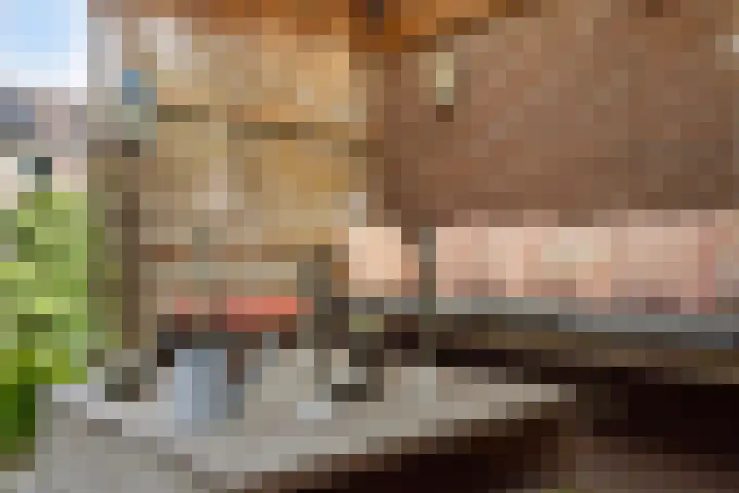 Gording 24 Hoorn thumbnail 23