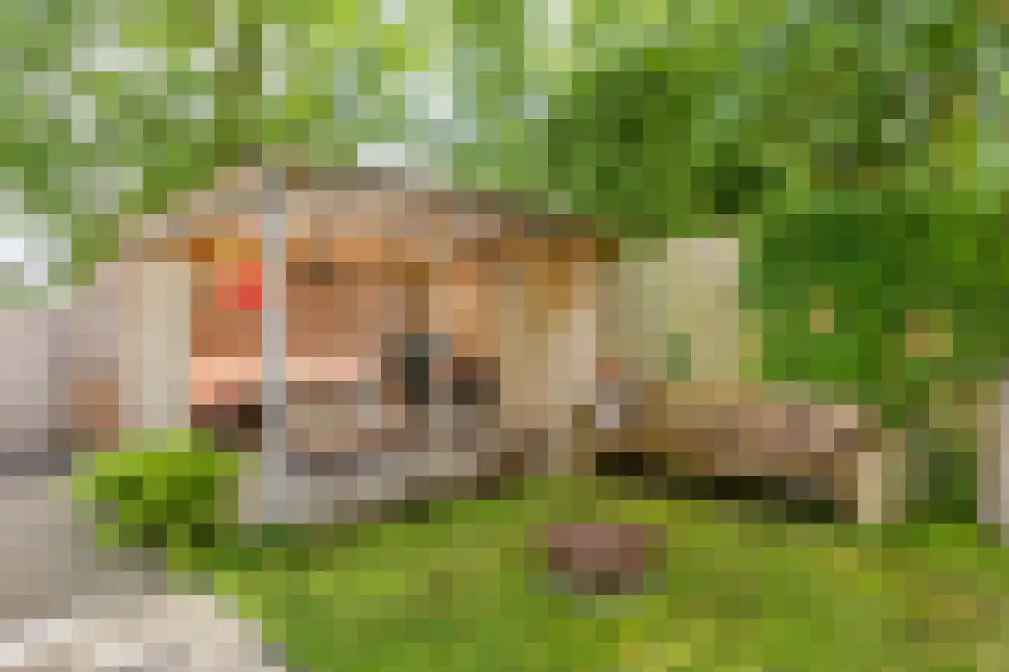 Gording 24 Hoorn thumbnail 24