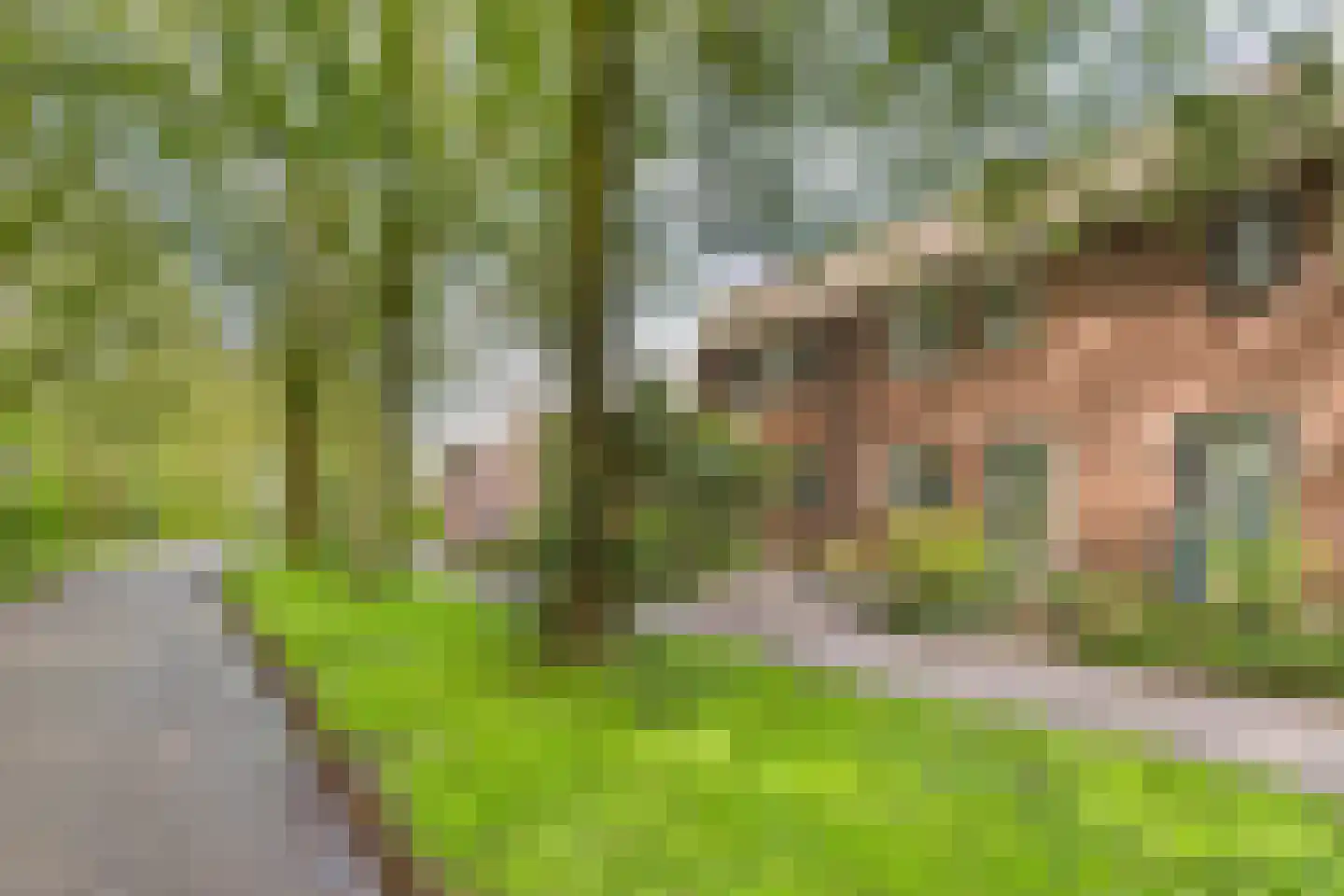 Gording 24 Hoorn thumbnail 30