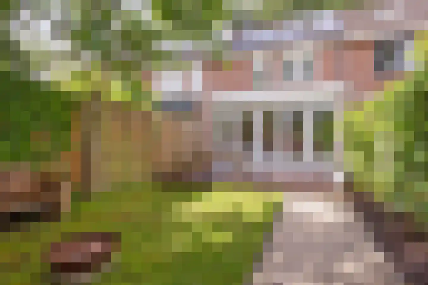 Gording 24 Hoorn thumbnail 6