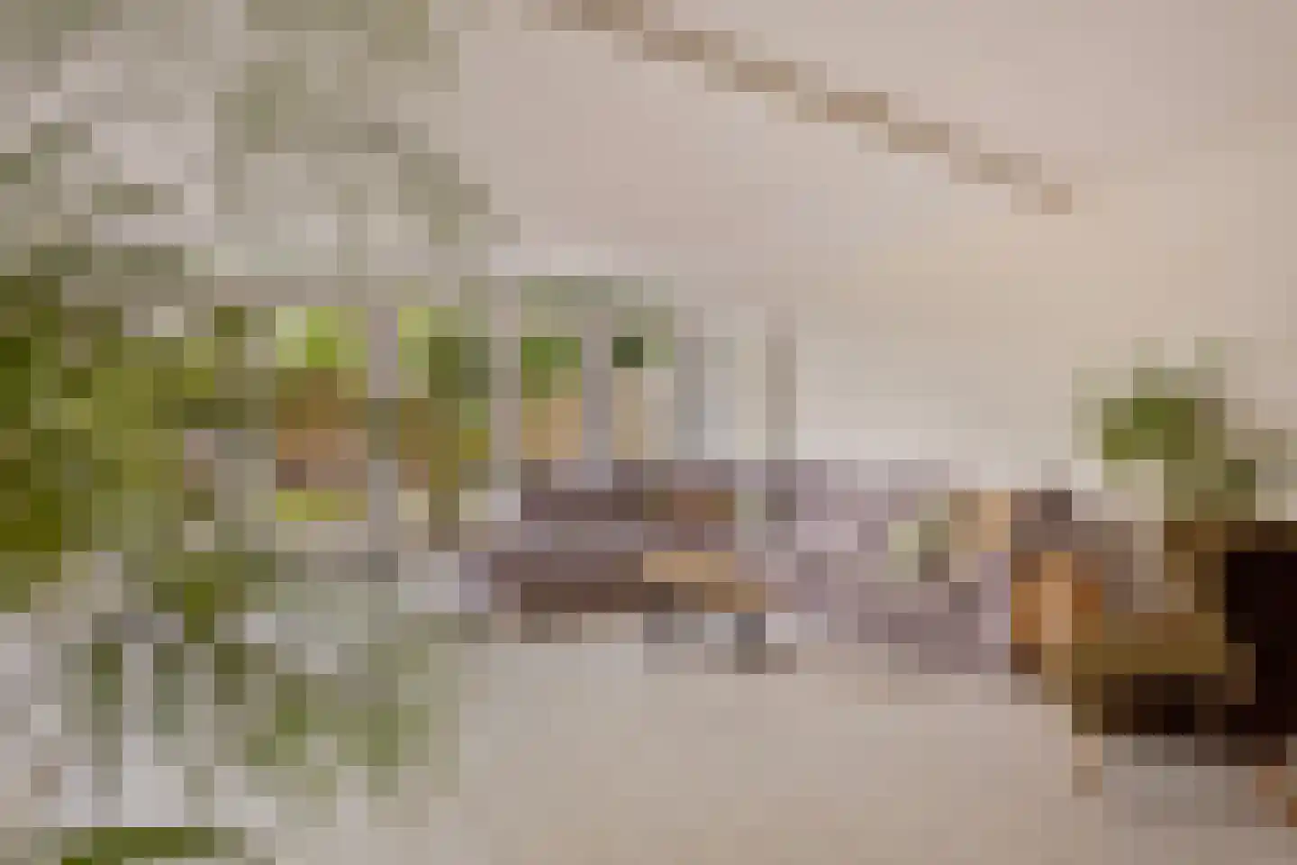 Gording 24 Hoorn thumbnail 8
