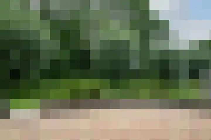 Gording 32 Hoorn thumbnail 44