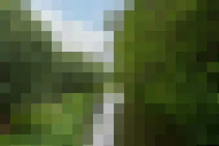 Gording 32 Hoorn thumbnail 46
