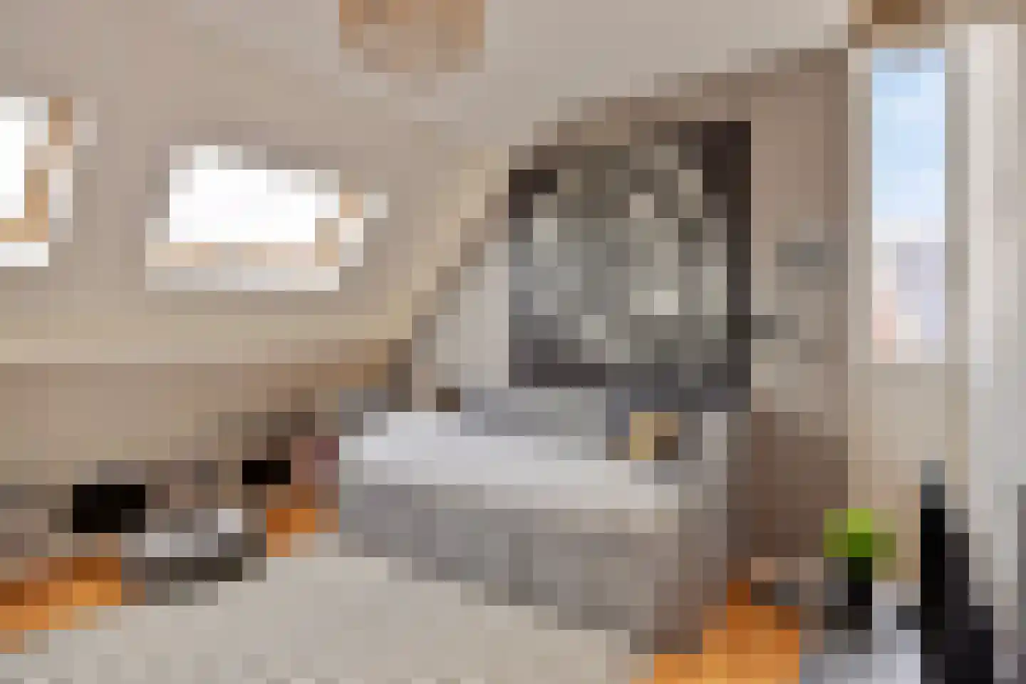 Gording 44 Uden thumbnail 32