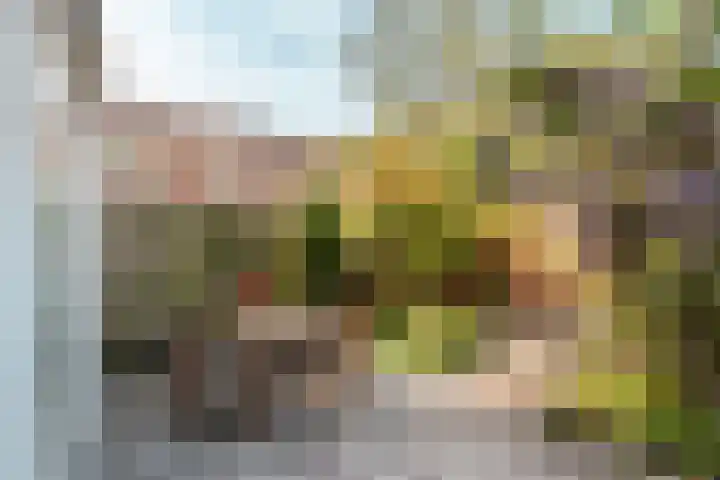 Gording 48 Hoorn thumbnail 37