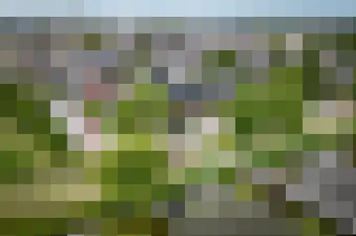 Gording 48 Uden thumbnail 16