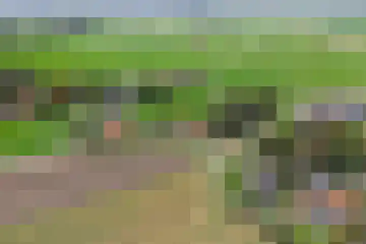 Gording 48 Uden thumbnail 38