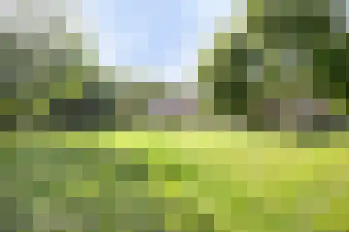 Gording 86 Hoorn thumbnail 30