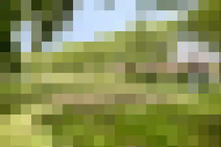 Gording 86 Hoorn thumbnail 31