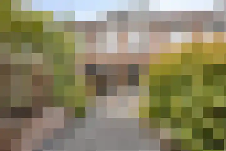 Gording 86 Hoorn thumbnail 6