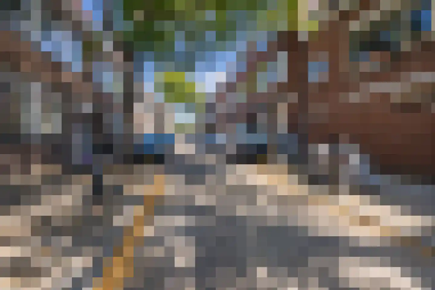 Gordonstraat 13 A Schiedam thumbnail 33