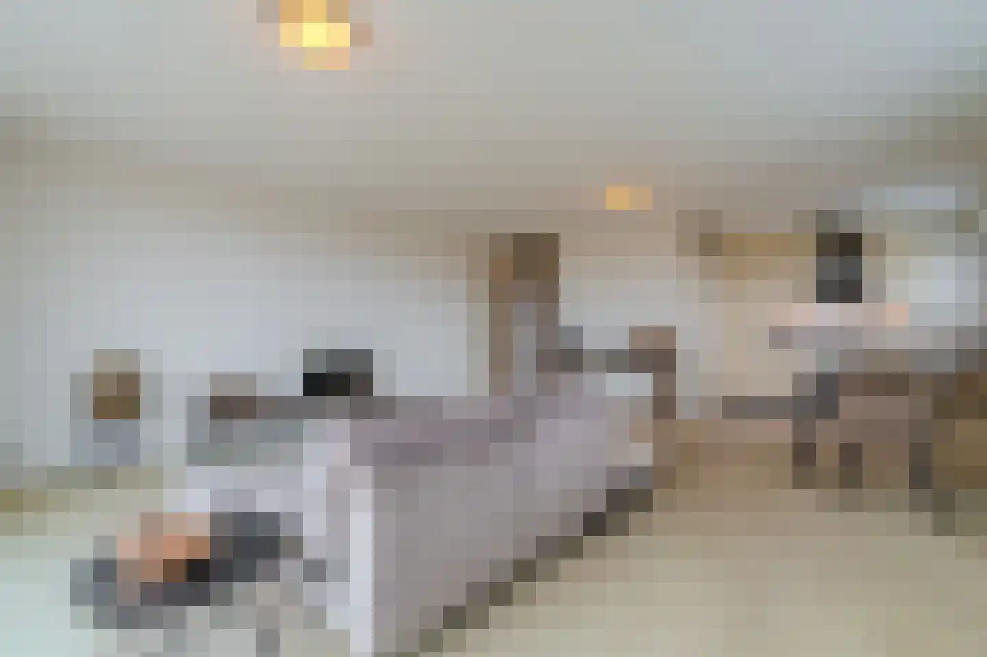 Gorecht-Oost 210 Hoogezand thumbnail 21