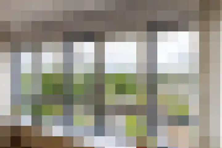 Gorecht-Oost 212 Hoogezand thumbnail 11