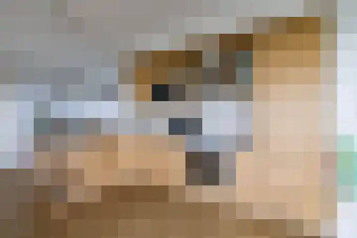 Gorecht-Oost 212 Hoogezand thumbnail 14