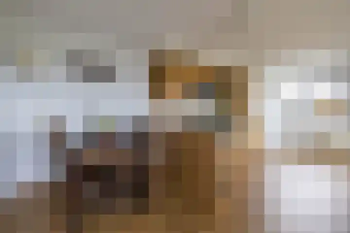 Gorecht-Oost 212 Hoogezand thumbnail 15