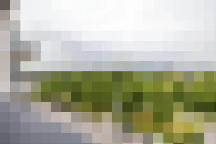 Gorecht-Oost 212 Hoogezand thumbnail 19