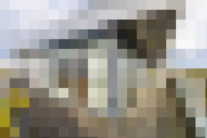 Gorecht-Oost 222 Hoogezand thumbnail 22