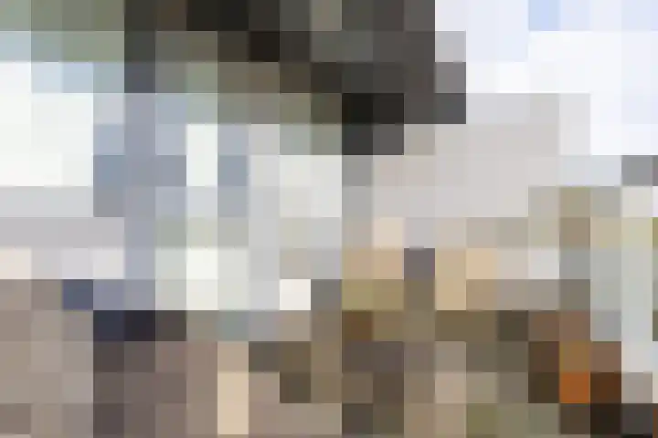 Gorecht-Oost 222 Hoogezand thumbnail 30