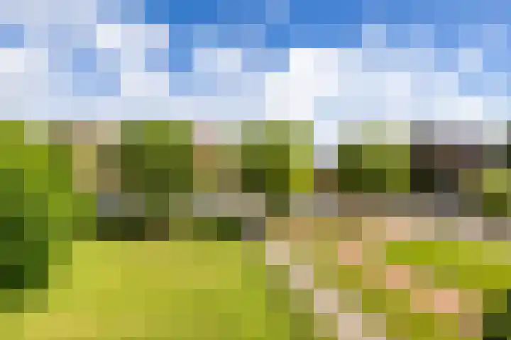 Gorecht-Oost 7 b Hoogezand thumbnail 34