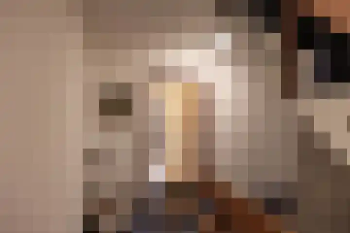 Gorecht-Oost 7 b Hoogezand thumbnail 8