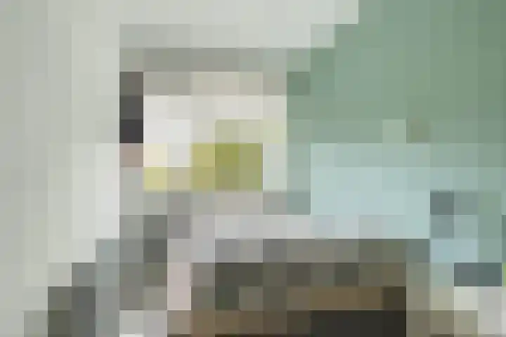 Gorechtkade 1 11 Groningen thumbnail 26