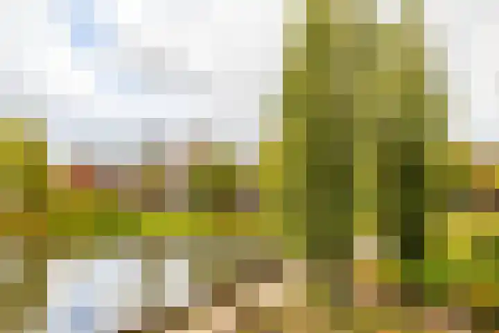 Gorechtkade 1 11 Groningen thumbnail 31