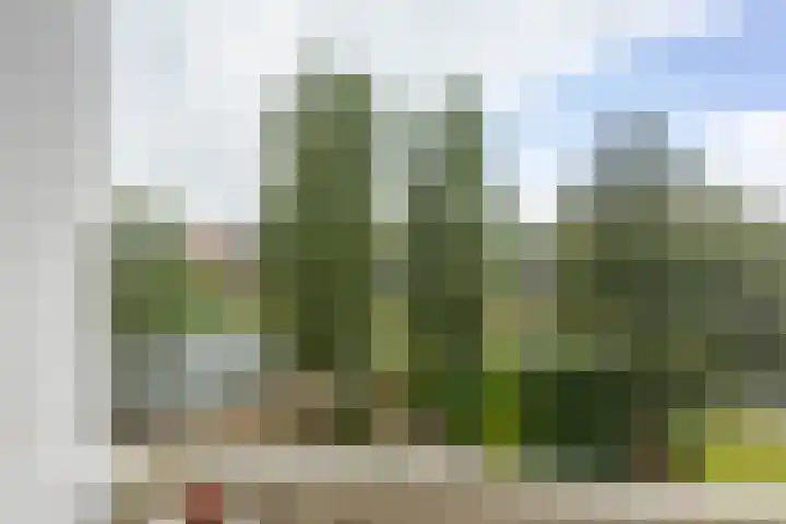 Gorechtkade 1 17 Groningen thumbnail 29
