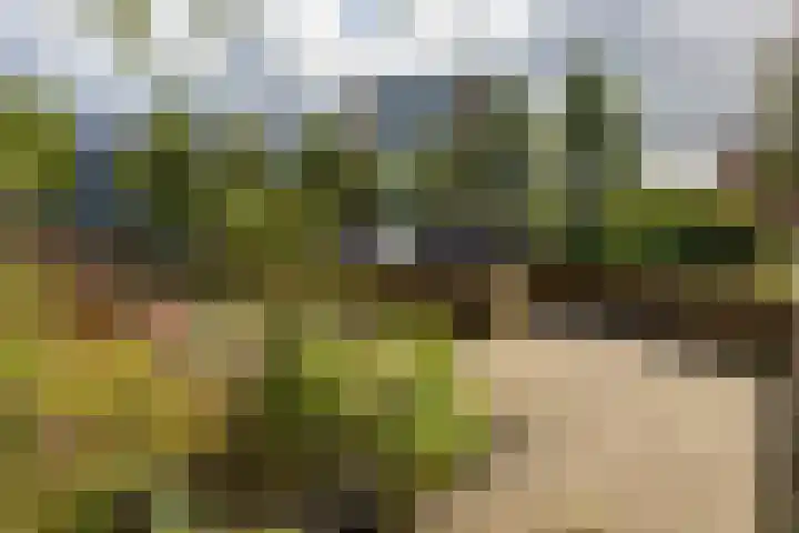 Gorechtkade 1 17 Groningen thumbnail 39