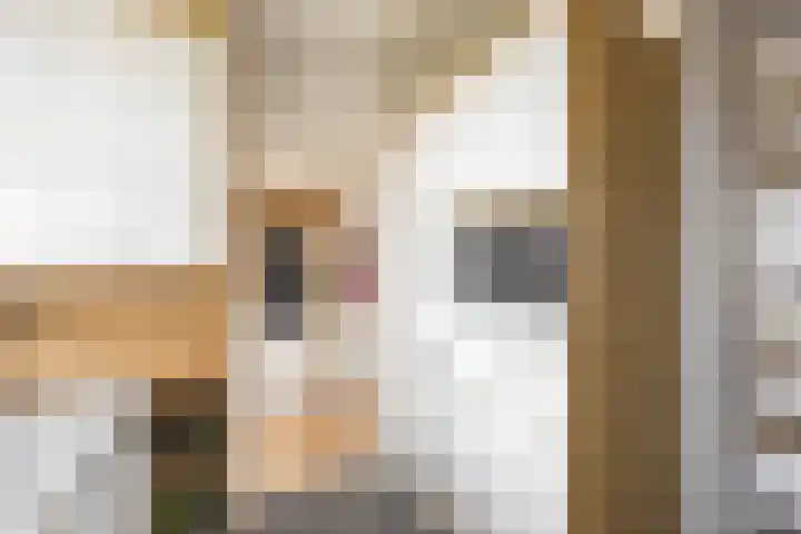 Gorechtkade 1 17 Groningen thumbnail 8