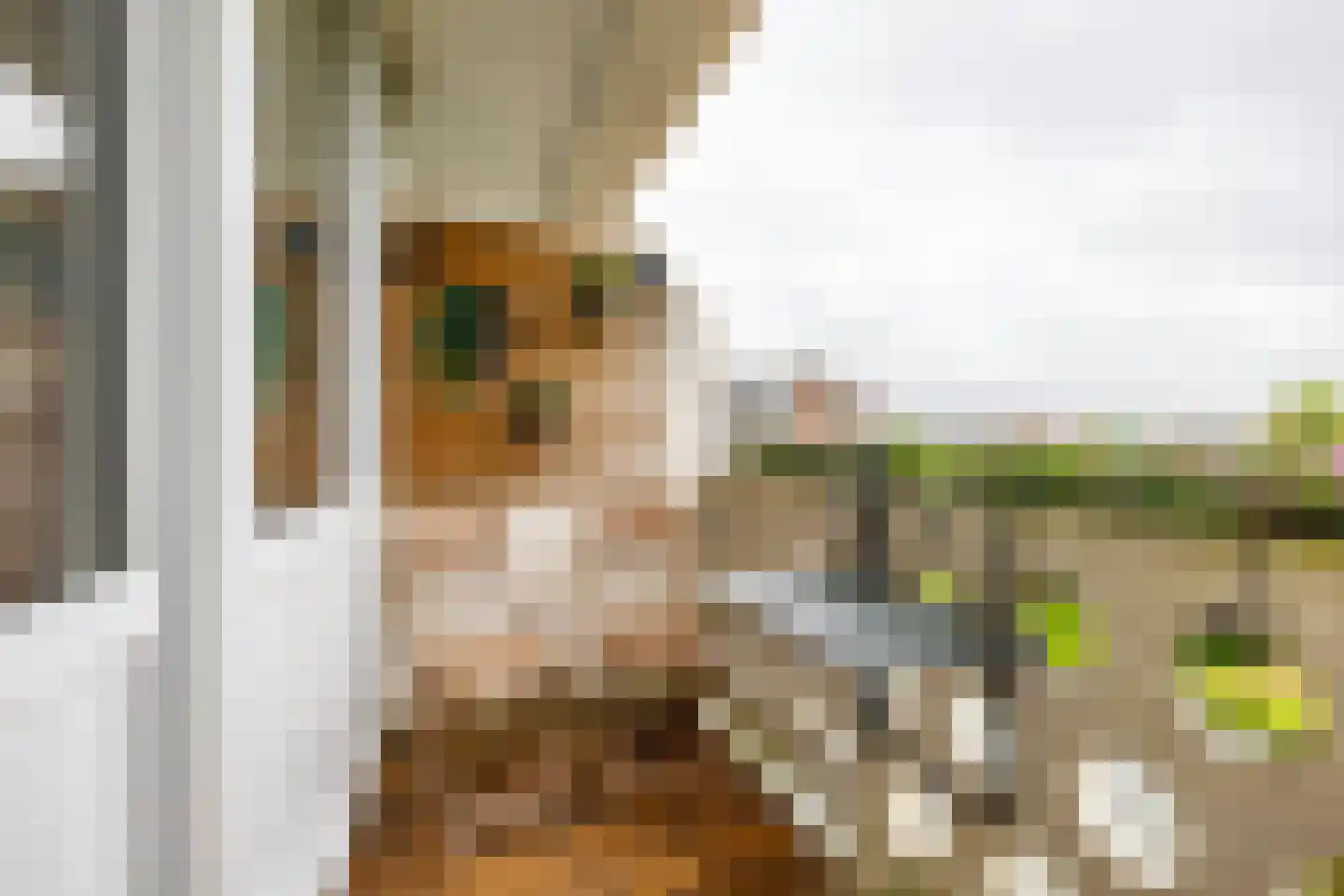 Gorechtkade 1 24 Groningen thumbnail 11