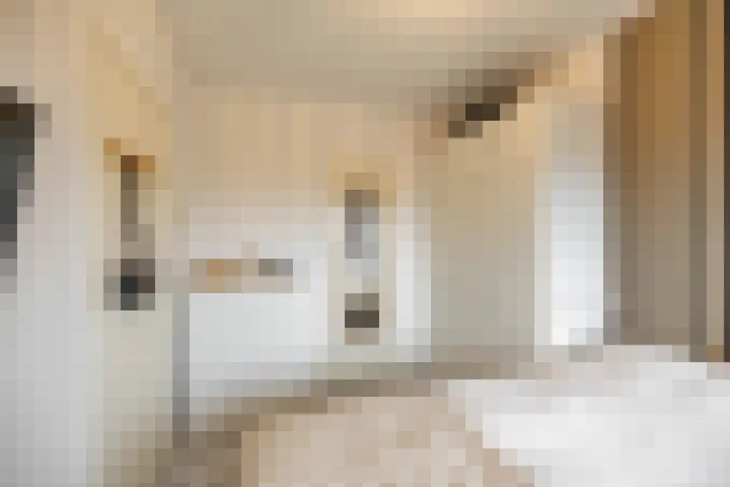 Gorechtkade 1 24 Groningen thumbnail 18