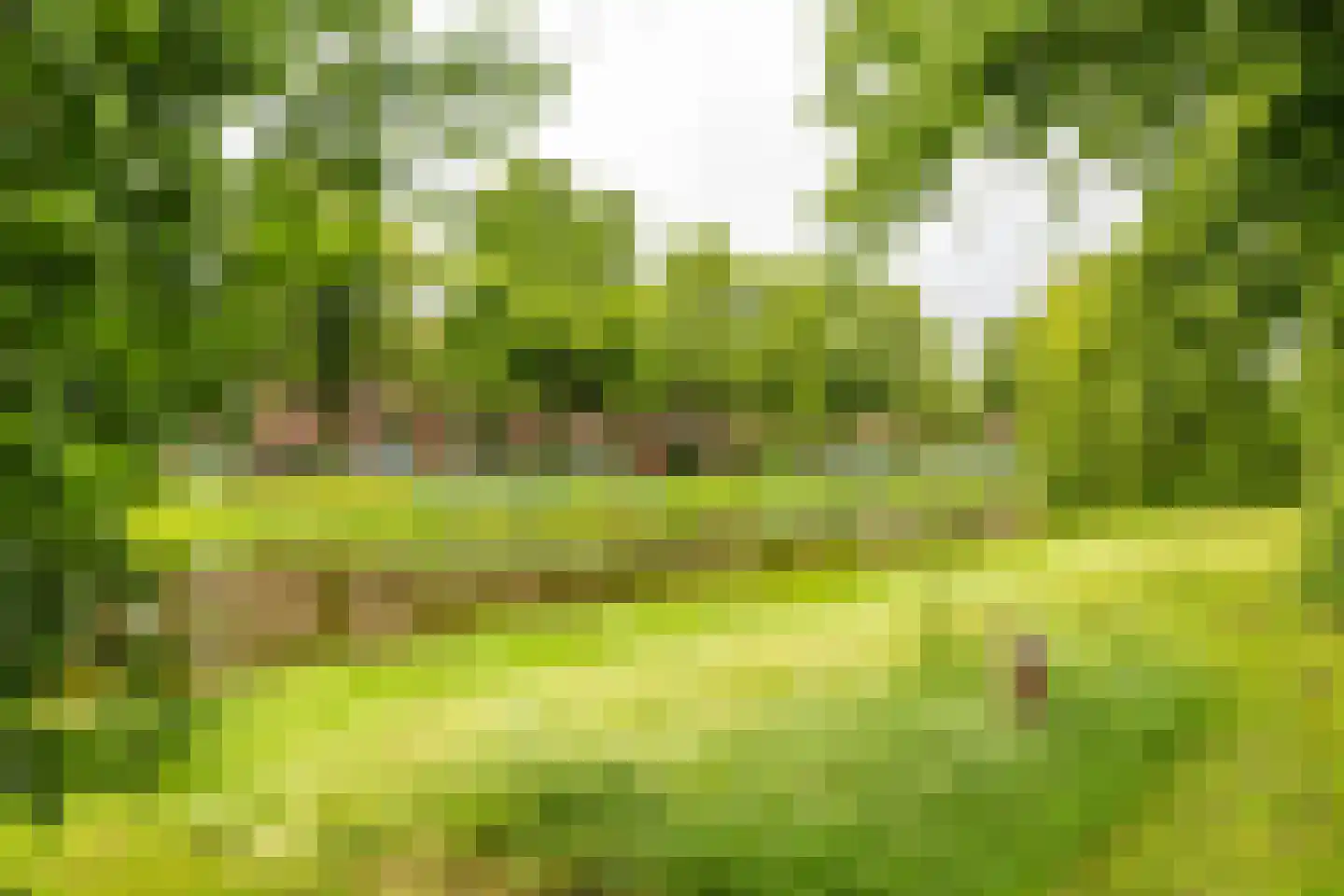 Gorechtkade 1 24 Groningen thumbnail 27