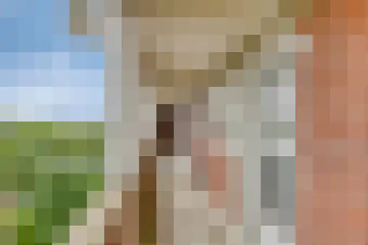 Gorechtkade 1 28 Groningen thumbnail 19