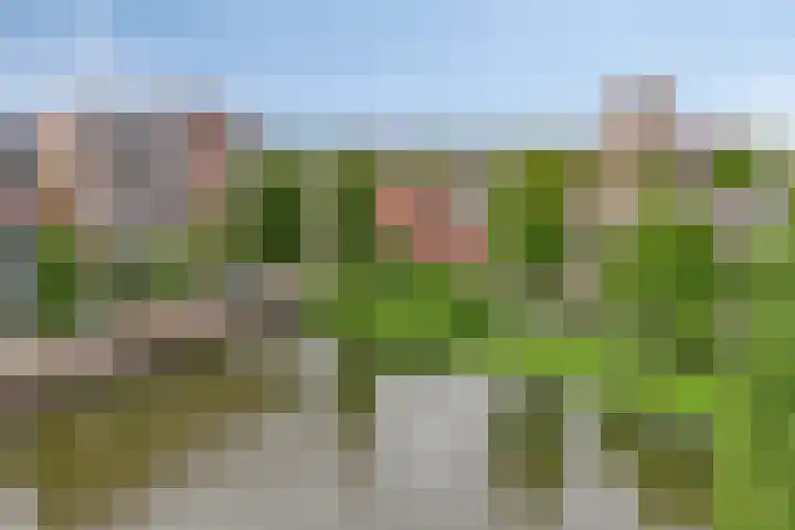 Gorechtkade 1 28 Groningen thumbnail 29