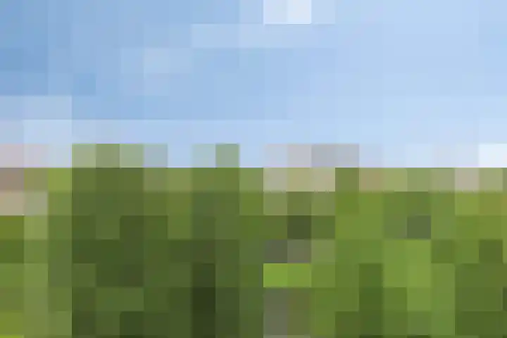 Gorechtkade 1 28 Groningen thumbnail 30
